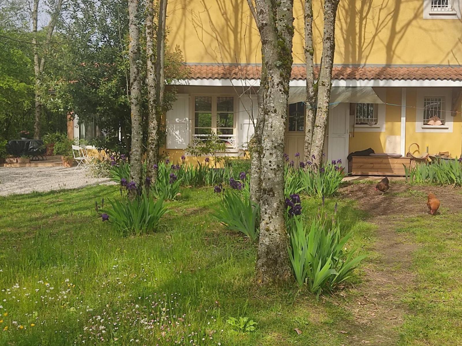 Bed and Breakfast La Frenaie Saint-Cyr-sur-le-Rhone Exterior foto
